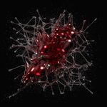 Pleizel A Taste of Salt and Steel