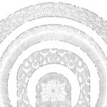 Tristan Allen Osni the Flare