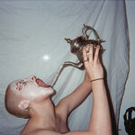 FLESH CREEP WE NEED YOU TO BLEED