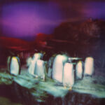 Buzzy Lee Shoulder to Shoulder